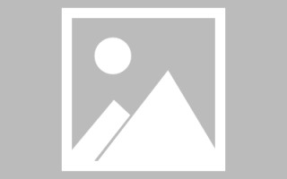 鸡西网页设计英文默认字体（网页设置英文转换中文）